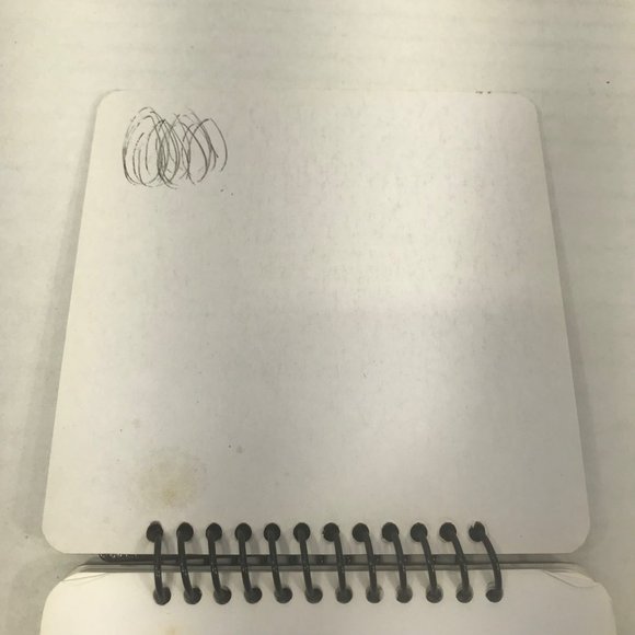 Dale Earnhardt Jr #8 Pocket Notepad And Photo Book With Picture Preowned - Picture 10 of 16